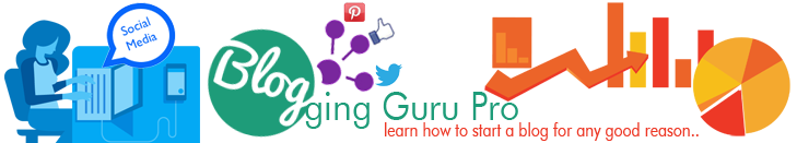 Blogging Guru Pro Blog
