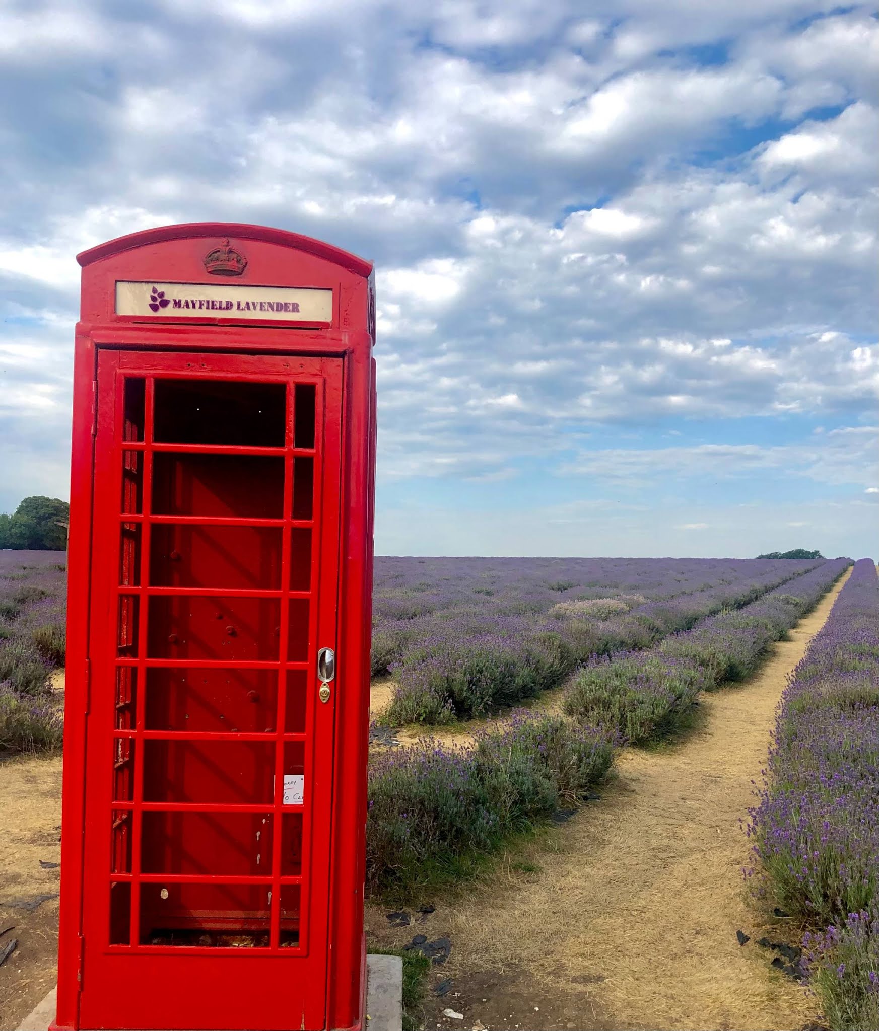 Mayfield Lavender Farm Phone Box