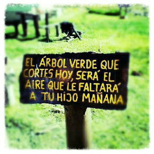 conciencia-agroecologica deforestacion