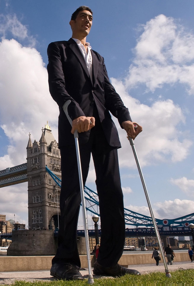 Самый высокий человек в мире фото и рост за всю историю