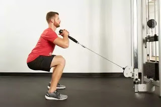 Cable Squats