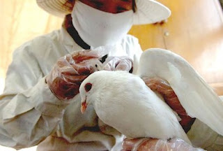 Bird Flu - H7N9