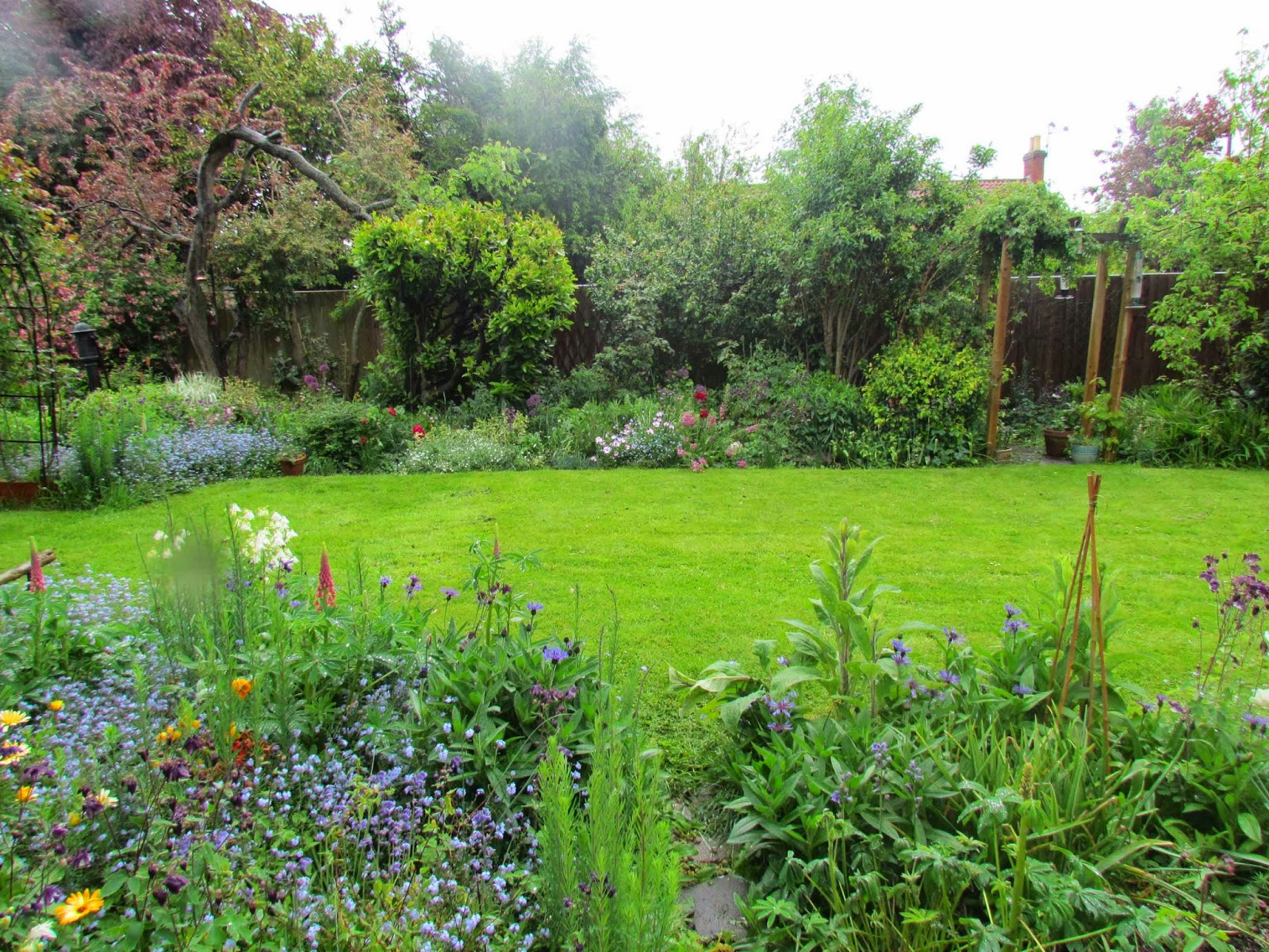 Woodlouse House: The Wet Garden Woodlouse House: The Wet Garden on Landscaping Ideas For Wet Backyard id=93686