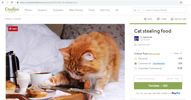 Berapa Penghasilan dari Menjual Foto Online? Wira Usaha