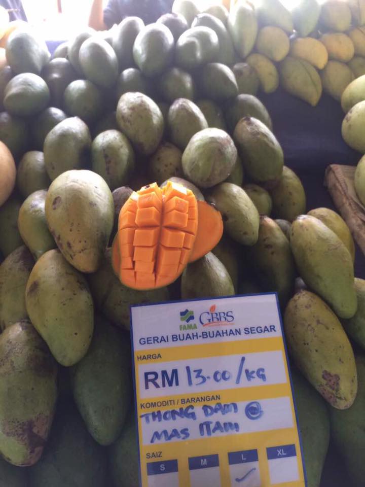 Cara Kenal Jenis Jenis Buah Mangga yang Popular dan Laris Di Malaysia