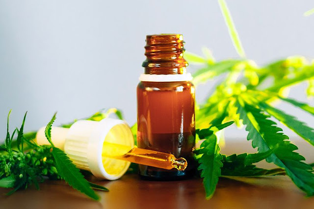 Truth behind cannabis oil and whether or not it can make you healthier Truth behind cannabis oil and whether or not it can make you healthier