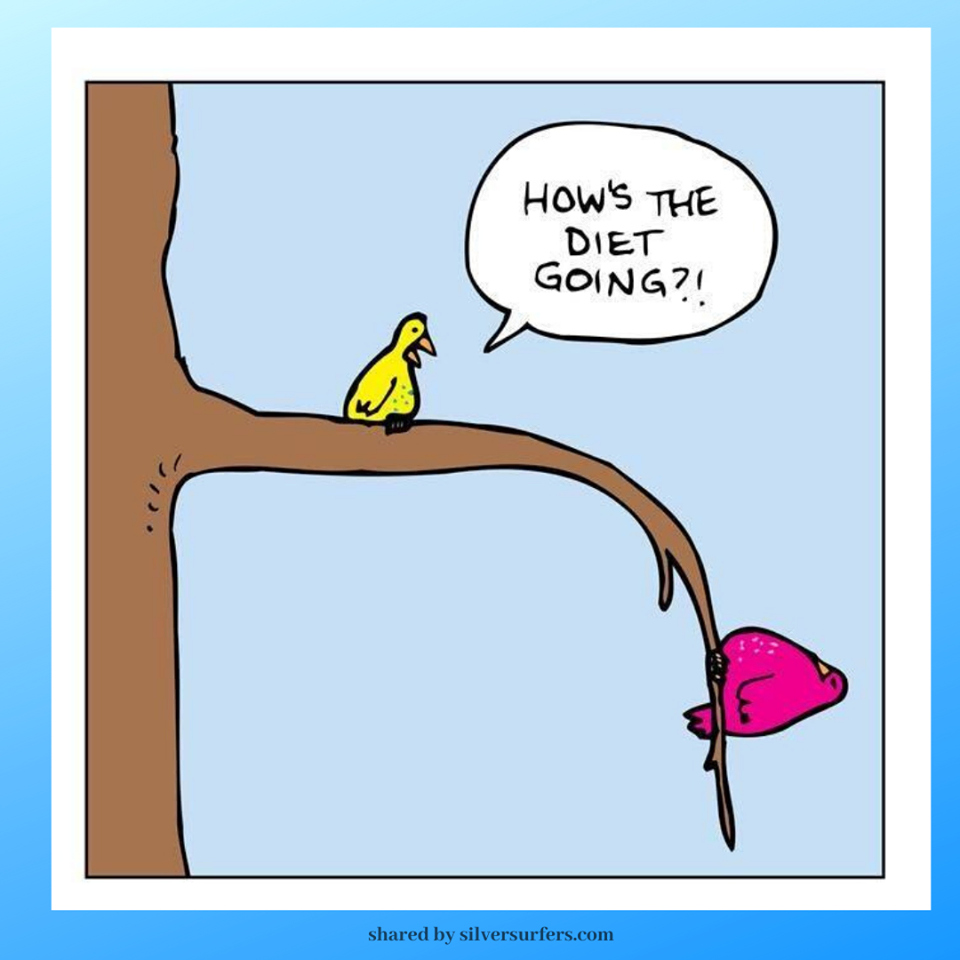 Картинка "and how was your day?". How is your going. Weekend задания. How is your going. Птички на ветке how about your diet.