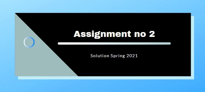MGT605 Assignment 2 Spring 2021