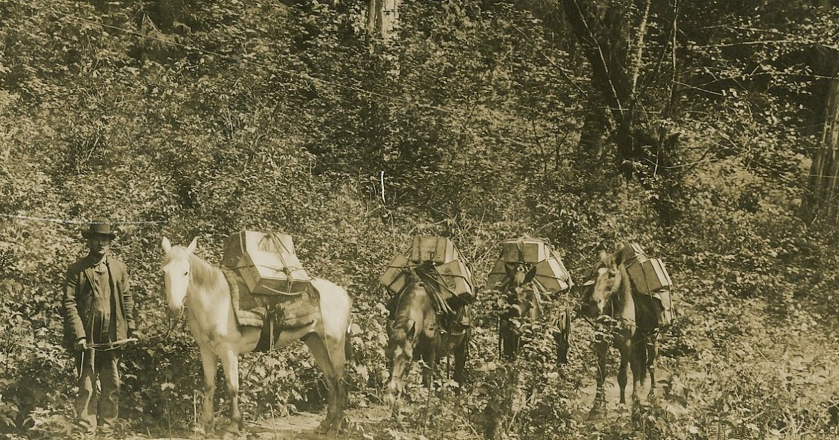 Early History of Eatonville, Washington Survival of a Settlement