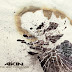 Akin - Nouvel album - The Way Things End - Sortie le 18/04/2011