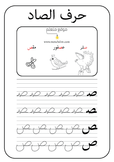 ملزمة حروف اللغة العربية الهجائية منقطة بالاسطر