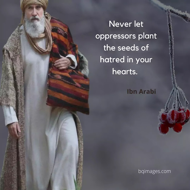ibn arabi quotes