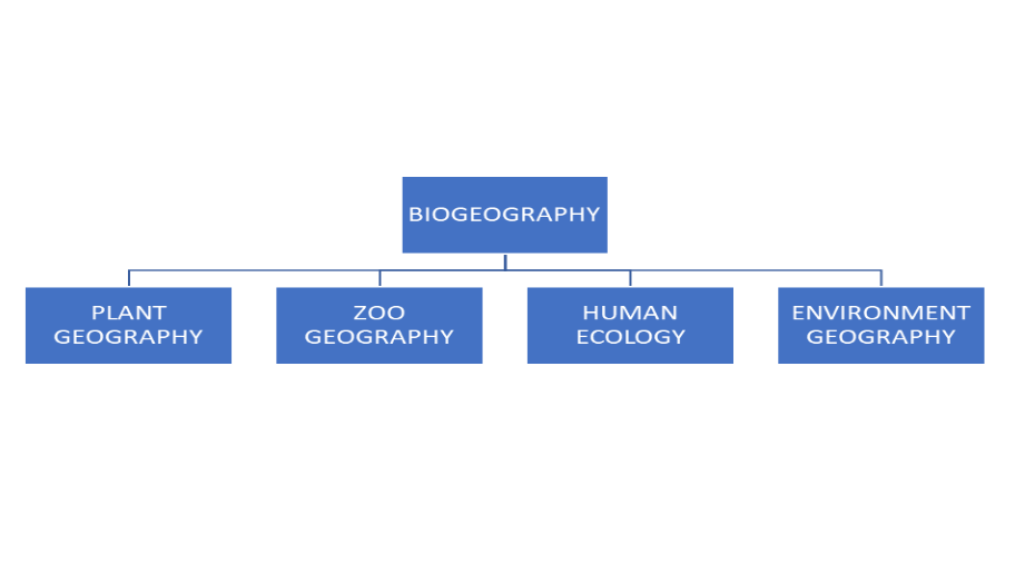 MAIN BRANCHES OF GEOGRAPHY Geographical information