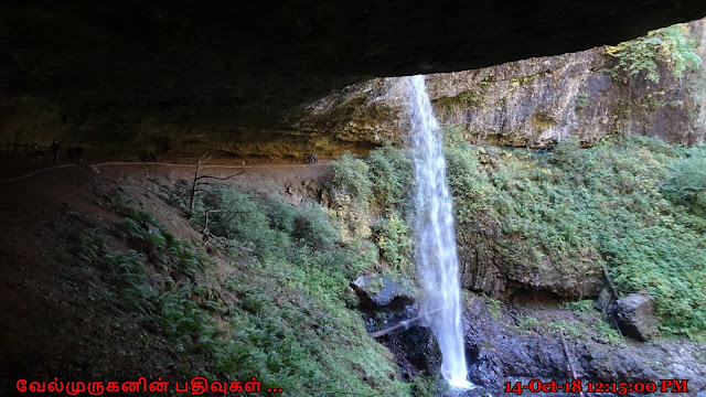 Oregon North Falls Near Salem