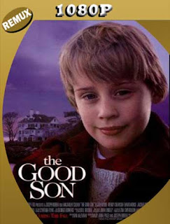 El Angel Malvado (1993) REMUX [1080p] Latino [GoogleDrive] SXGO