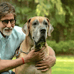 Amitabh Bachchan's photoshoot with his dog Shanouk
