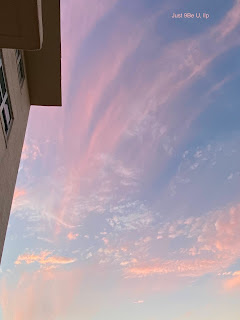 The Answer My Friend