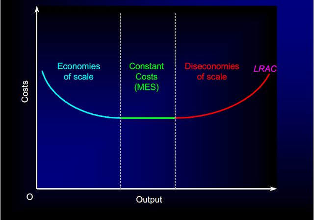 Economics A Levels: ECONOMIES OF SCALE