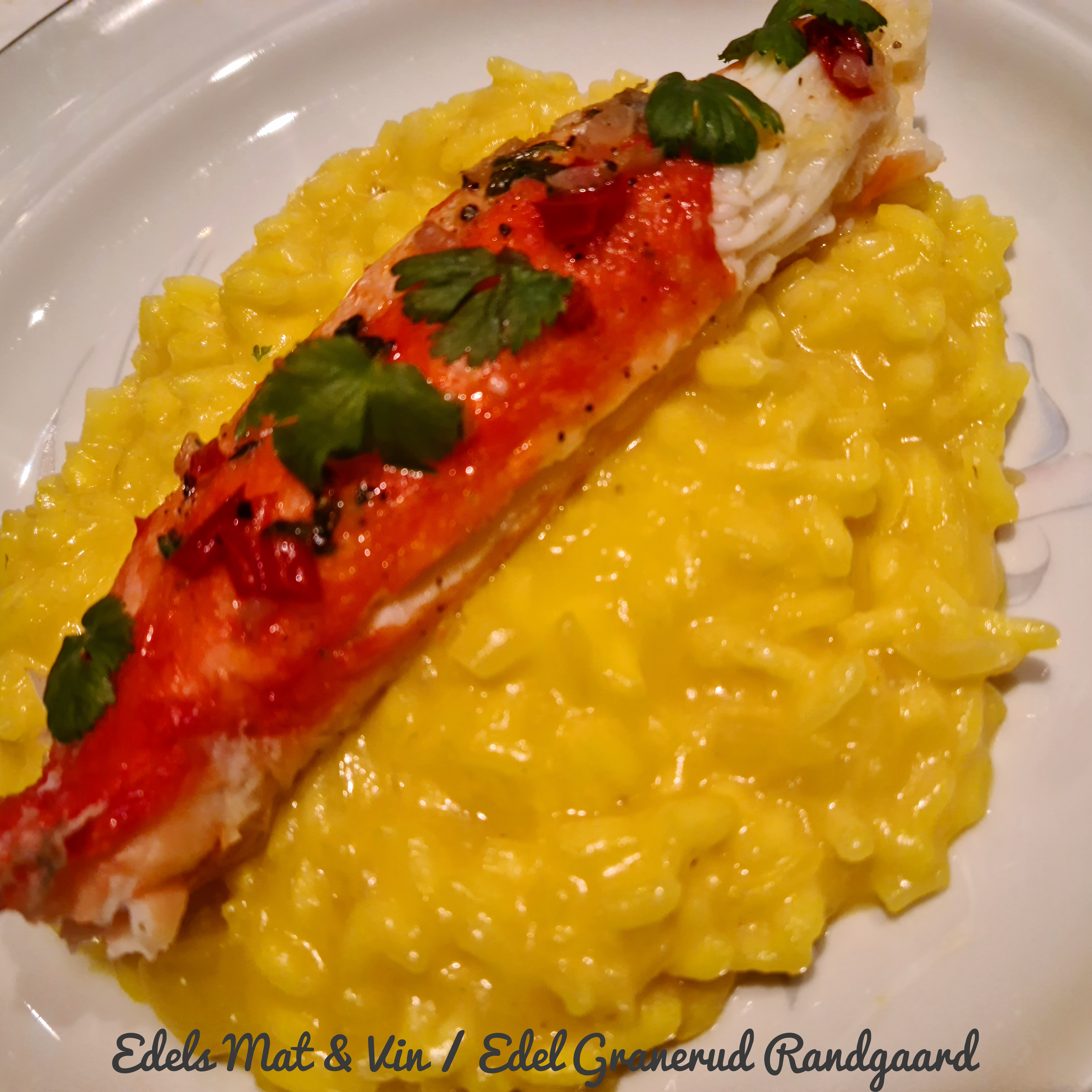 Edels Mat Vin: Gratinert kongekrabbe med gul risotto