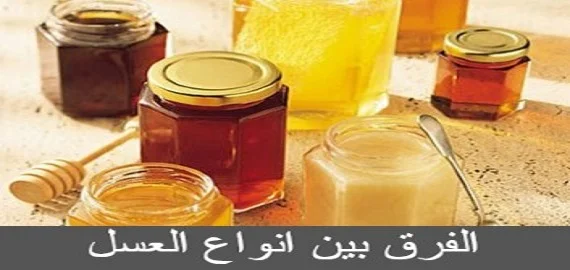 الفرق بين انواع العسل