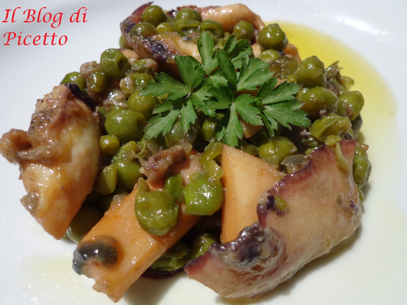 Il Blog di Picetto Seppie con
