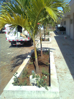 MANTENIMIENTO Y DISEÑO DE JARDINES: Decoracion de jardineras