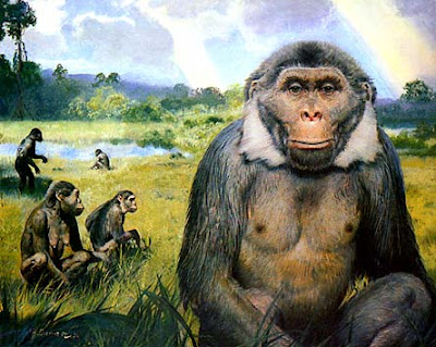 Escenarios prehistóricos: Oreopithecus