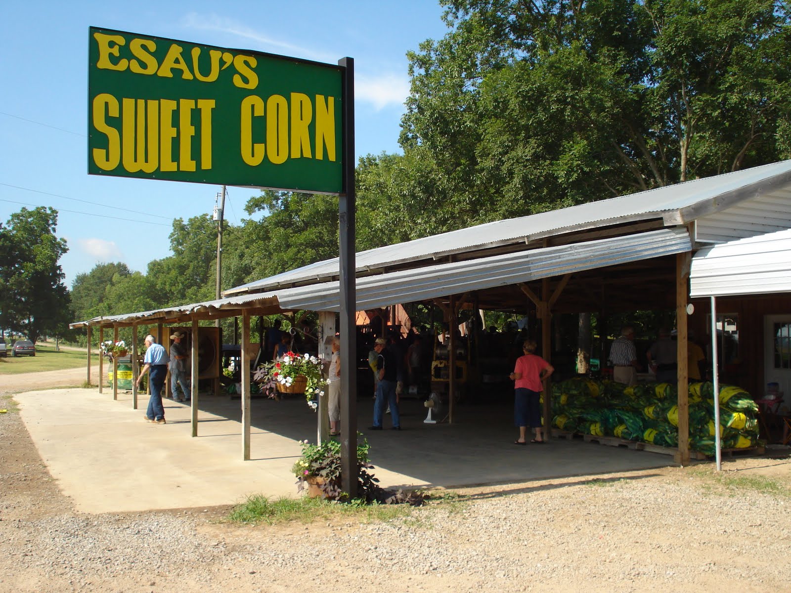 Living On Curry Road Esau's Corn,,,,, No Kidding