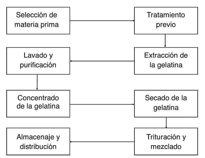 Proceso de fabricación de la gelatina