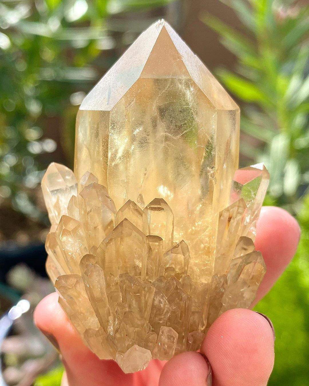 Pineapple Quartz Geology In