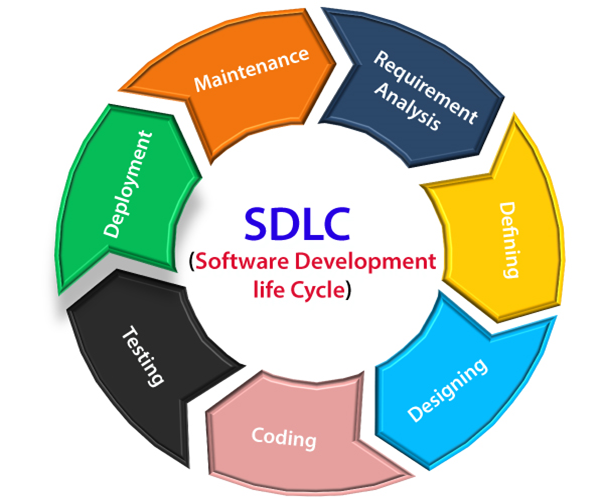 create the case study on software development life cycle