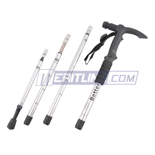 Using a GoPro HD on a Budget Using a hiking pole as a extension arm...