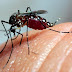 ATENÇÃO: Assunção e mais 31 municípios paraibanos correm riscos de surto de dengue, aponta Secretaria de Estado da Saúde