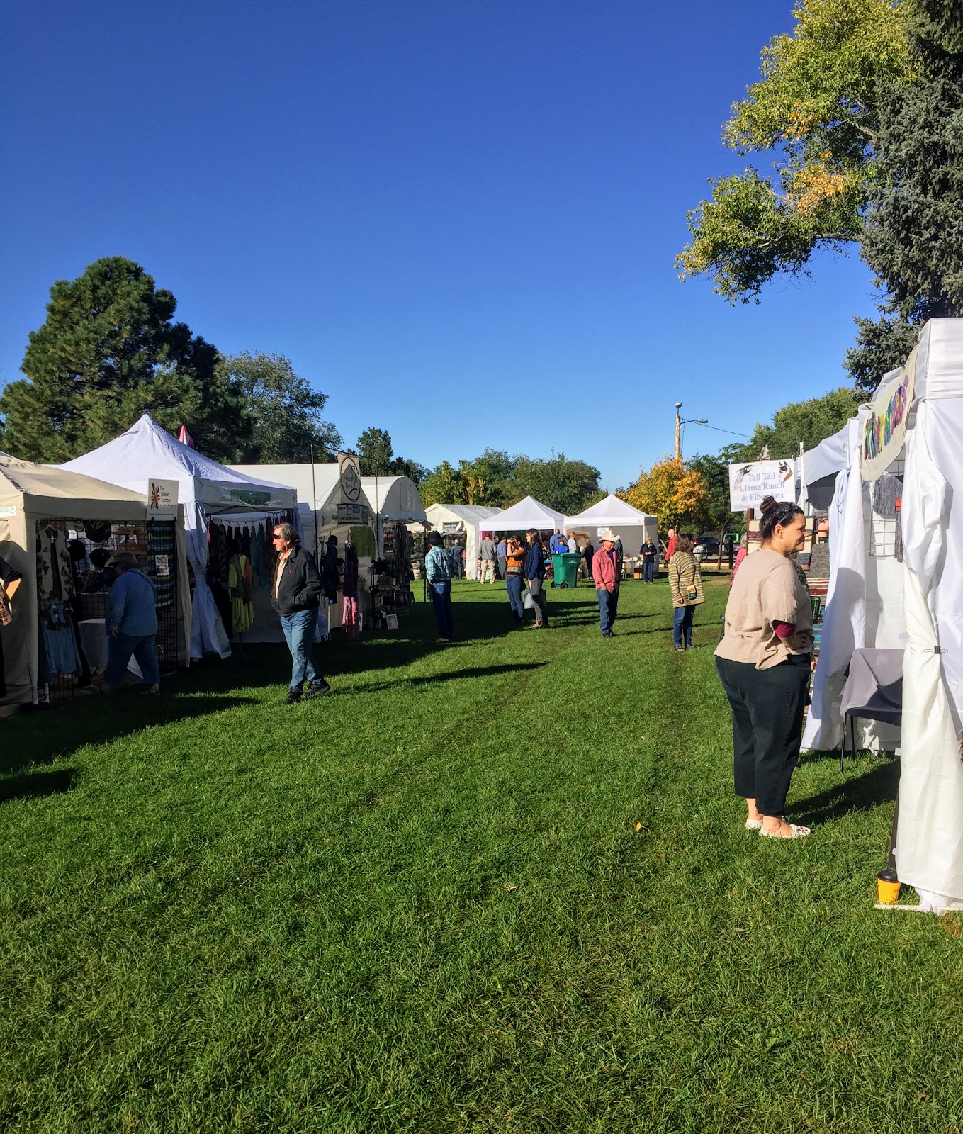 Weaving Down the Road Taos Wool Festival