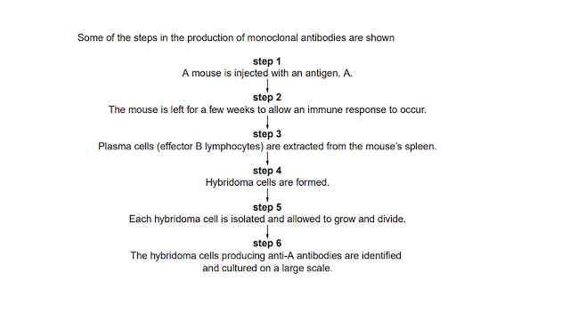 Grade 11: ENRICHMENT LESSON WEEK 1