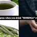 The Miracle Tree That Could Cure 300 Diseases Including Tumors And Diabetes With