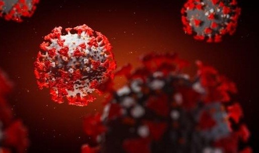 Virus corona Vũ Hán tiếp tục đột biến, đã có 8 biến thể trên toàn cầu