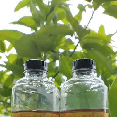 Madu Olahan (Biasa) 500 Gram