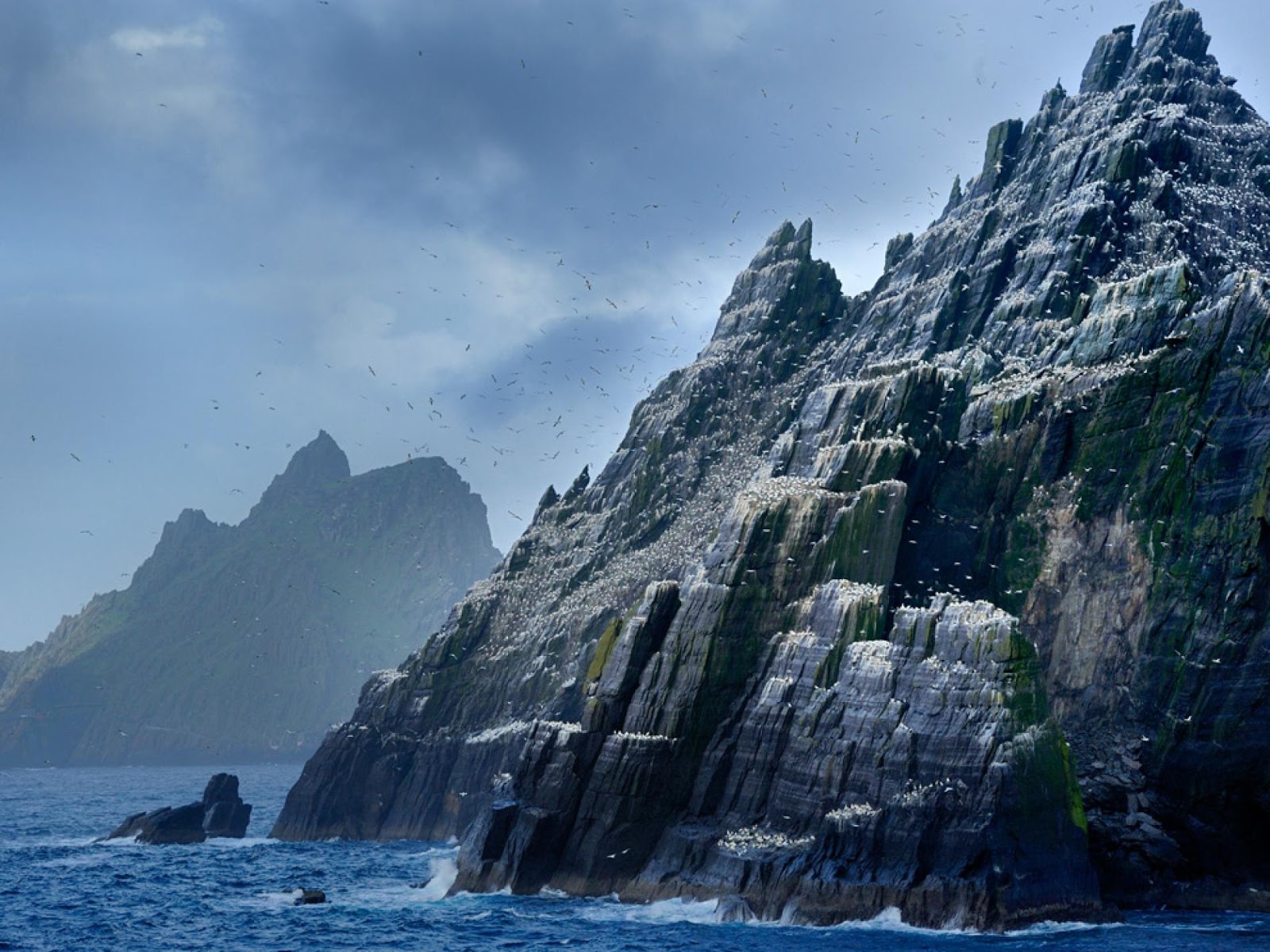 триллер горы море. море и горы. головокружение фильм антон. джунгли с дэниэлом рэдклиффом. лэйк плэсид озеро страха наследие.