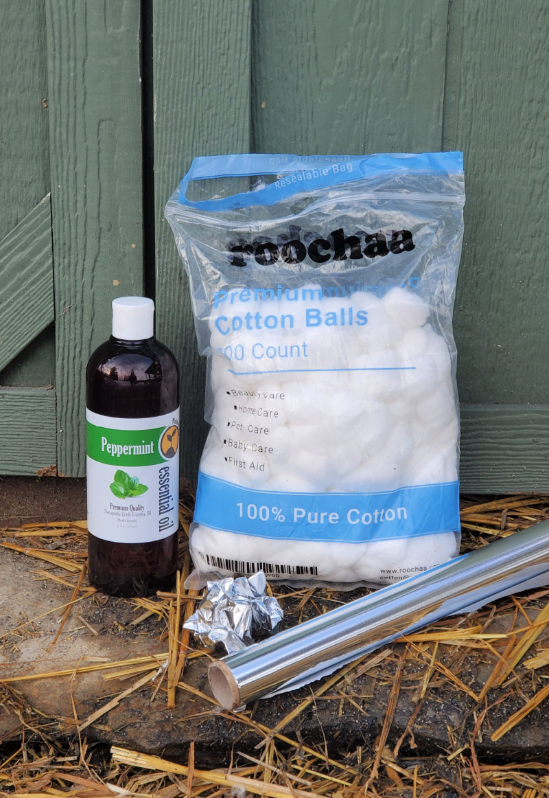 Keep Rodents out of your Chicken Coop without Traps or Poison Fresh