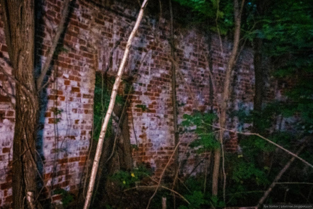 Сочинение про усадьбу рукавишниковых Поросшие травой и деревьями кирпичные развалины