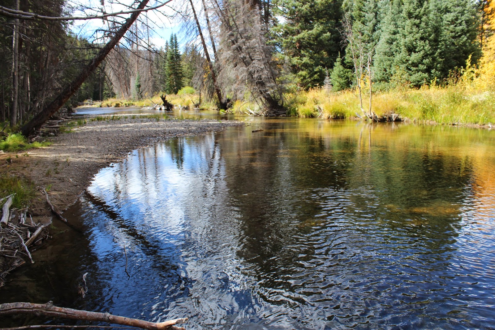 Roaring Fork River Trail