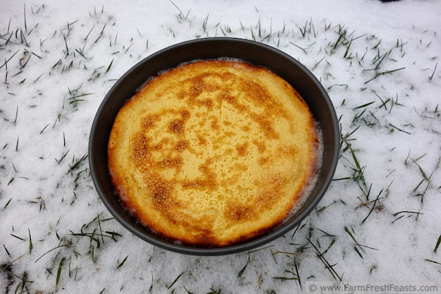 image of a Finnish Oven Pancake in a round cake pan on a snowy lawn