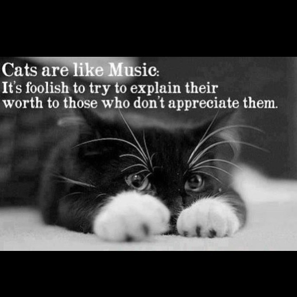 Картинки не хочу работать хочу к тебе