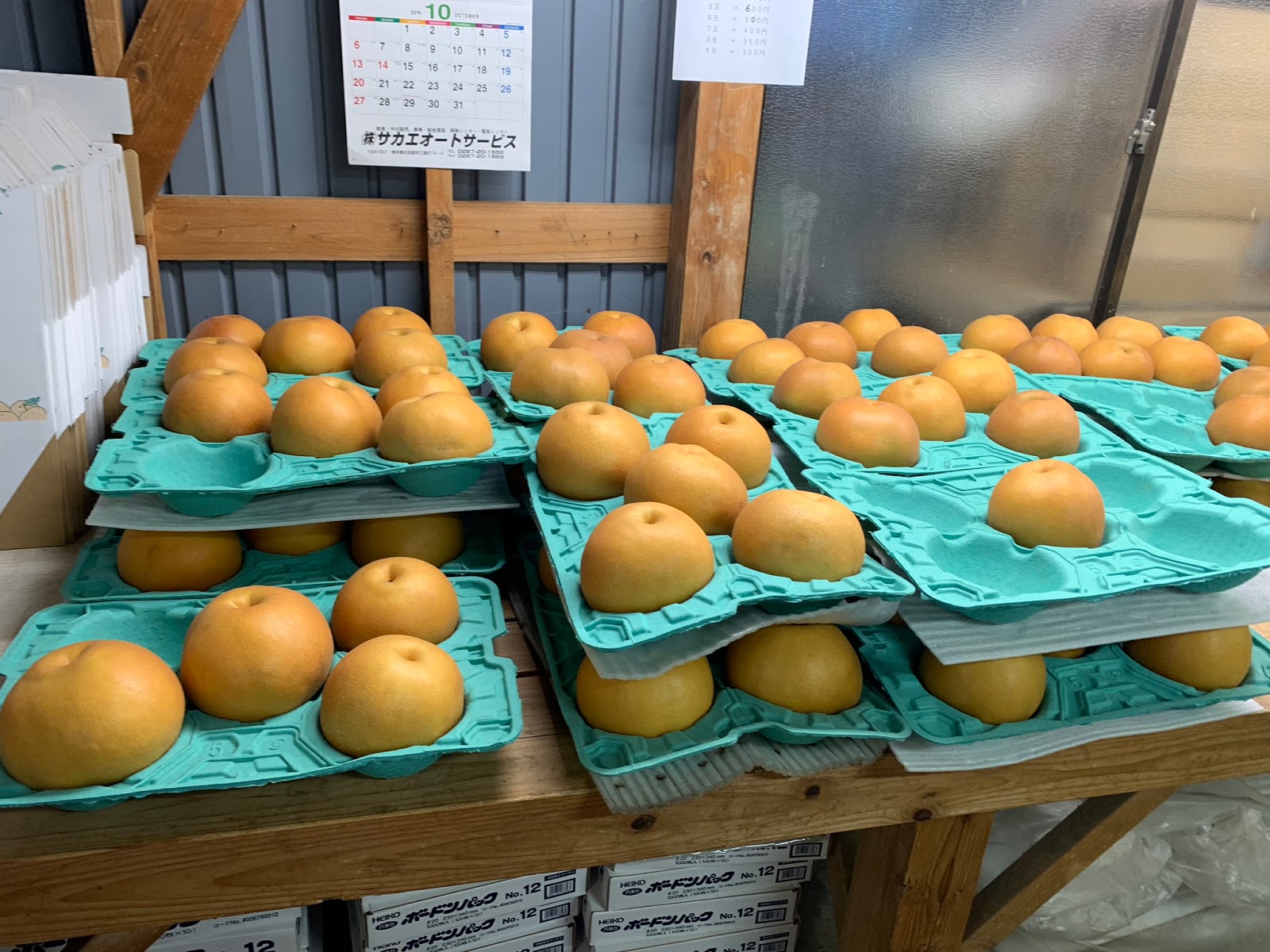 アケクレ 乙連沢梨園で栃木県発のビッグサイズ梨、「にっこり」でみんなニッコリ^^