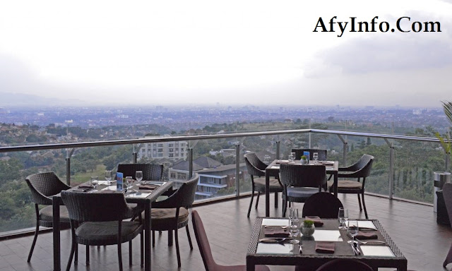 afyinfo.com