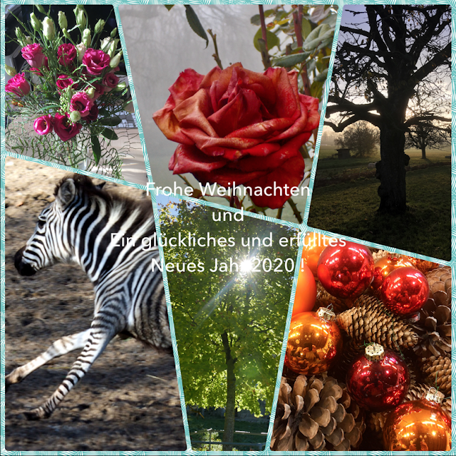 Frohe weihnachten und einen guten rutsch ins neue jahr 2016 BERN dies und das und FOTO BLOG / Bern Fotos / ein Bärn(er) Blog