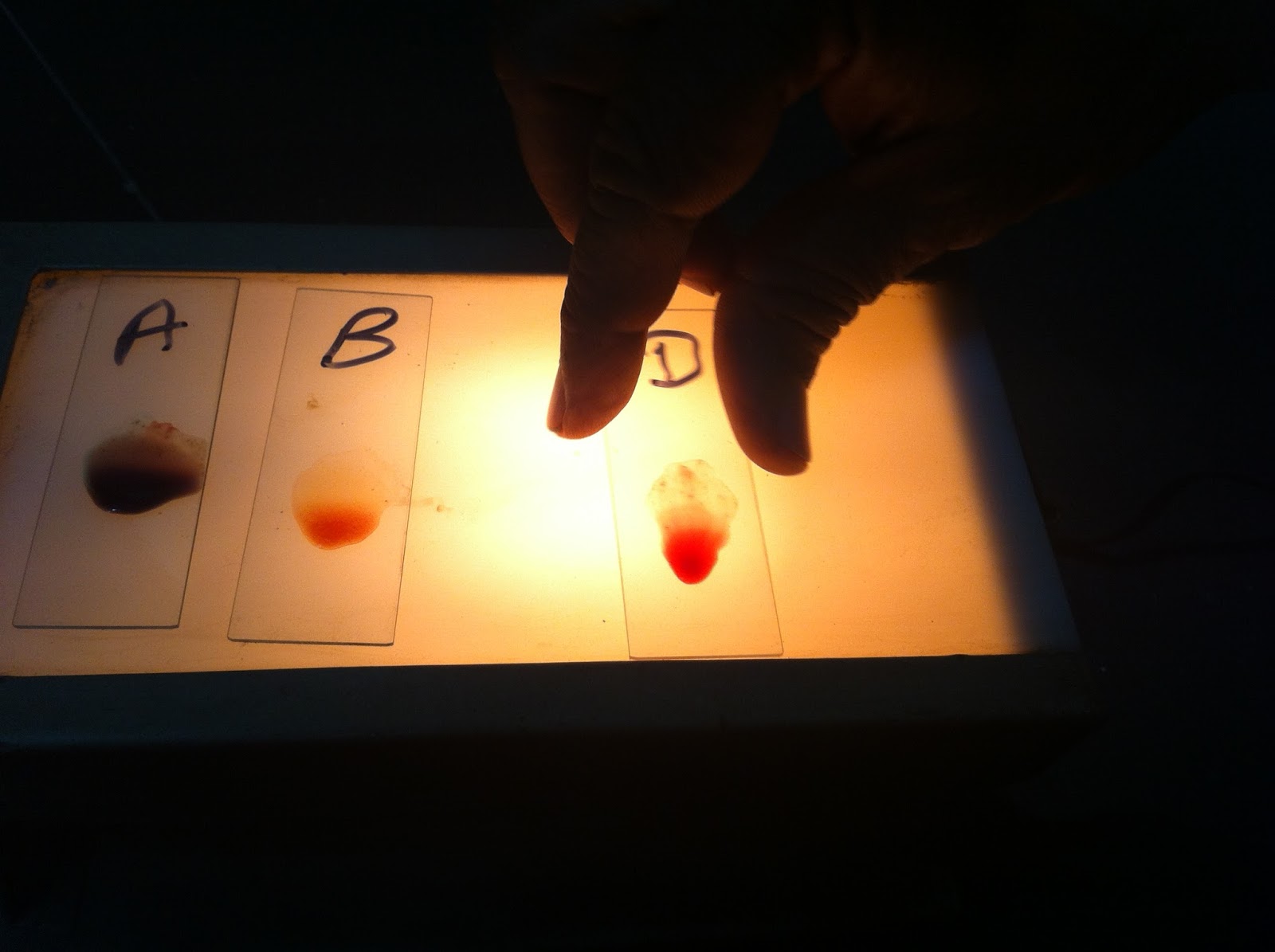 Forensic Biological Lab specimens/ Apparatus