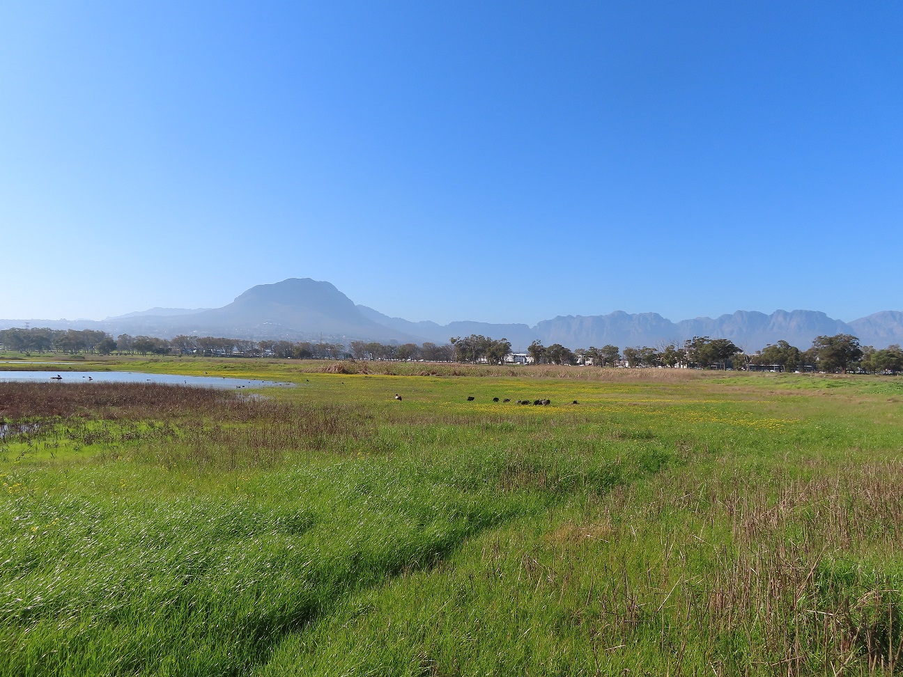 X FACTOR PROPERTY SHOWCASE PAARDEVLEI, SOMERSET WEST, WESTERN CAPE