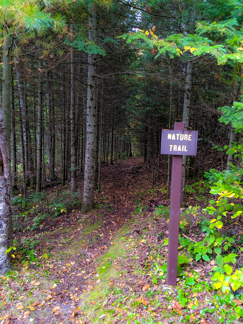 Hiking Otter Lake County Park